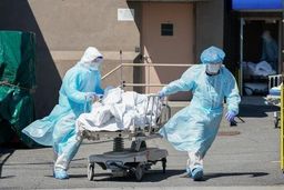 جولان سویه جدید کرونا در امریکا | ۱۶ درصد آمریکایی‌ها باز هم درگیر کووید شدند