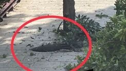تصویری از یک خمپاره عمل نکرده در گرگان همزمان با انفجار شی ناشناس