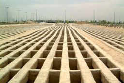 فروش استخوان مرده ها توسط باند سارقان | ماجرای وحشتناکی که در گرگان اتفاق افتاد !