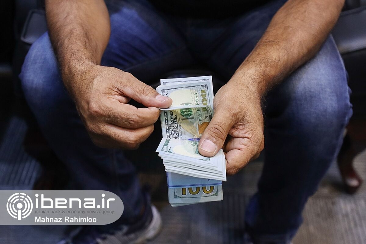 شرایط دریافت 1000 یورو ارز مسافرتی | چه کسانی مشمول ارز دولتی نمی شوند | سود مسافران از دریافت ارز دولتی چقدر؟