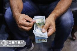 شرایط دریافت 1000 یورو ارز مسافرتی | چه کسانی مشمول ارز دولتی نمی شوند | سود مسافران از دریافت ارز دولتی چقدر؟