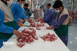  آیا می‌توان اعضای گوسفند قربانی را بفروشیم؟