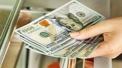 آخرین قیمت دلار امروز ۶ آذر ۱۴۰۱