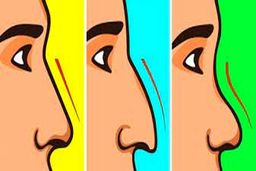 تست شخصیت شناسی؛ فرم بینی، راز شما را برملا می کند | آلبرت انیشتین این فرم بینی را داشت!