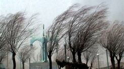 وزش باد شدید در  این مناطق تهران | هوا تا شنبه گرم می شود 
