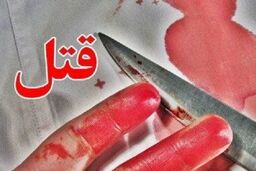 خیانت نو عروس تهرانی؛ سفر شیطانی لو رفت