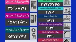 آخرین آمار کرونا در کشور/ چند نفر قربانی کرونا شدند؟ 