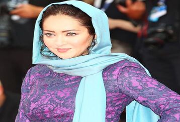 بیوگرافی نیکی کریمی