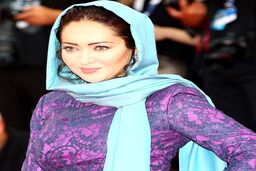 بیوگرافی نیکی کریمی