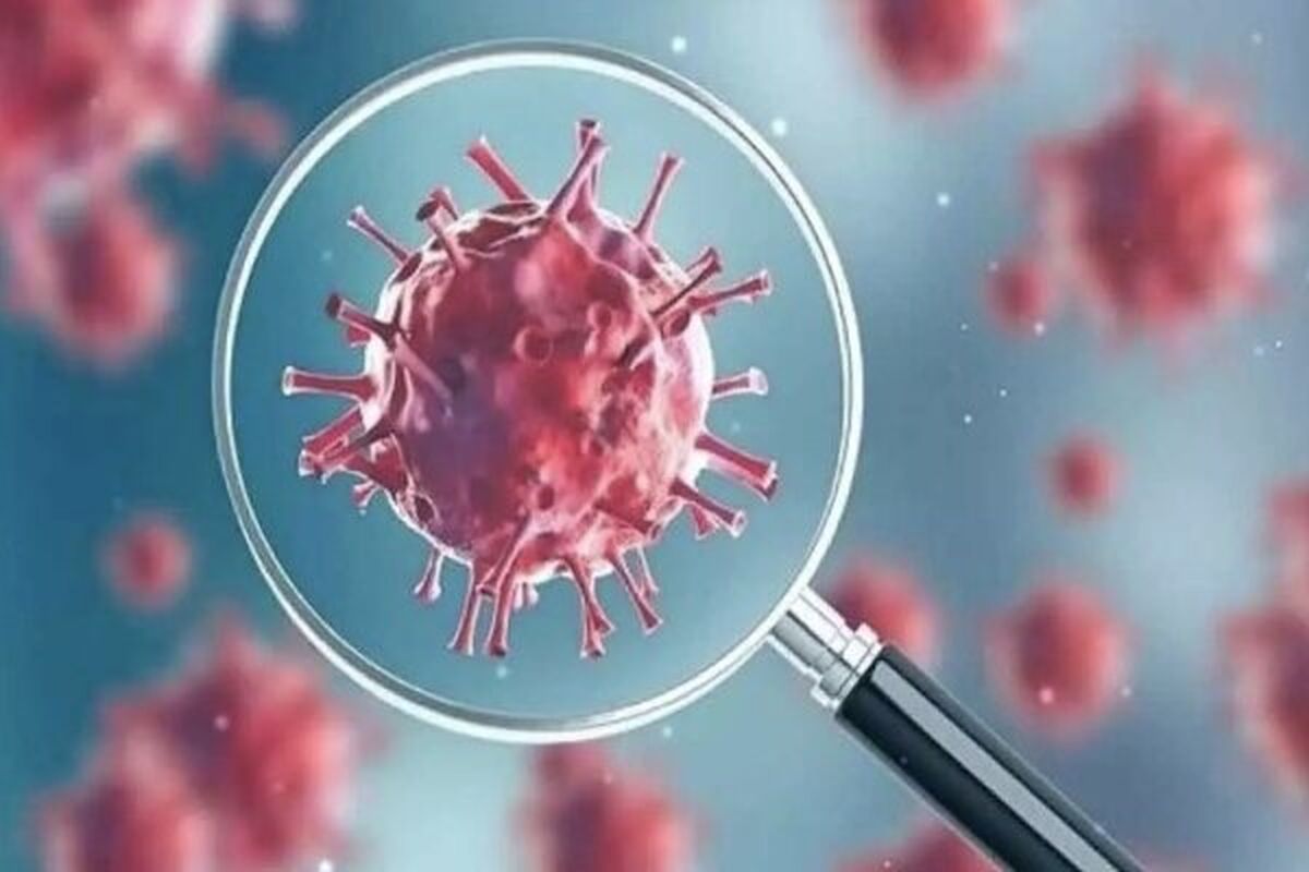 آمار جدید کرونا | چند نفر در شبانه‌روز گذشته فوت شدند؟