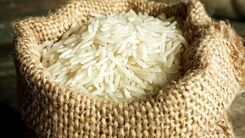 جدیدترین قیمت برنج در آستانه تعطیلات نوروز | برنج ایرانی کیلویی چند شد ؟