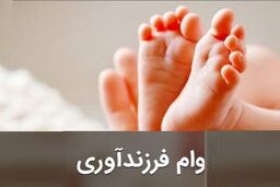 درباره وام فرزند آوری بیشتر بدانیم | چند پدر وام فرزند گرفتند؟