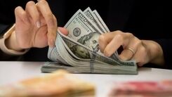 افزایش شدید قیمت دلار؛ دقایقی قبل | قیمت دلار امروز 19 آذر 1401 در بازار