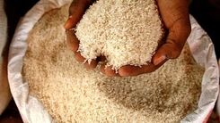 قیمت شوکه کننده برنج برای خریداران