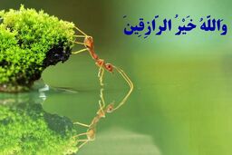 تاثیر بی نظیر این دعا برای افزایش رزق و روزی | اگر این دعا رو هر صبح بخونی معجزه اش رو می بینی !