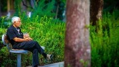 خبر های خوش وزیر دولت رئیسی درباره حقوق بازنشستگان | حساب این بازنشستگان این هفته پر پول شد