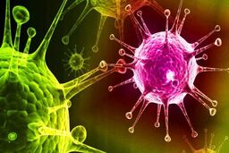 چه گروه سنی بیشتر کرونا دلتا می گیرند؟