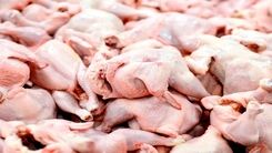قیمت مرغ ۱۵ هزار تومان ارزانتر از نرخ مصوب 