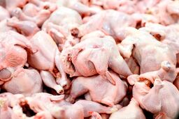 جدیدترین قیمت مرغ در بازار | فیله مرغ کیلویی چند شد ؟ + جدول