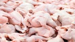آخرین قیمت مرغ امروز 10 آبان در مغازه ها + جدول 