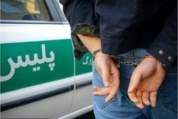 سارقان گردنبند بازیگر مشهور دستگیر شدند | ماجرای زورگیری هولناک از علیرام نورایی