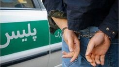 اسیدپاشی به خانم ۳۰ ساله در خیابان دامپزشکی تهران | متهم ۲۲ ساله فامیل شوهر از آب درآمد!