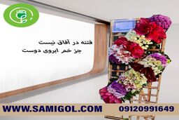 تاج گل چیست ؟
