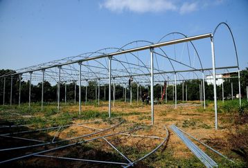 چگونه گلخانه در حیاط خود بسازیم؟