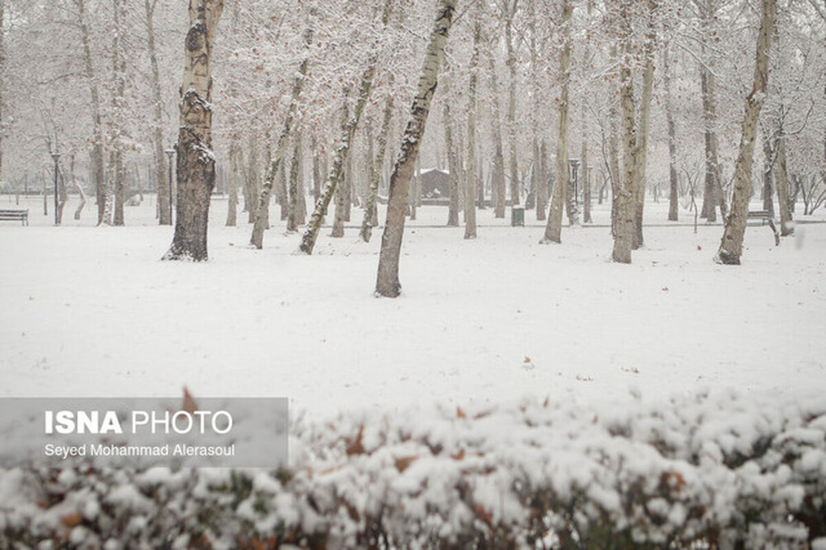 سامانه جدید بارشی در راه تهران | بارش برف از کی شروع می شود ؟