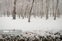 هشدار بارش‌های سنگین در این استان ها | بارش برف تا کی ادامه دارد ؟