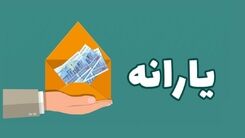 اگر یارانه نقدی می گیرید این خبر را بخونید |  اعتبار یارانه نقدی را استفاده نکنیم چه اتفاقی می افتد؟