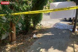 قاتل رئیس پزشکی قانونی اعتراف کرد | آدمکش اجاره‌ای بودم!