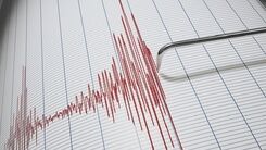 رفتار مرموز پرندگان در آسمان ژاپن | دقایقی پس از زلزله اتفاق افتاد + فیلم