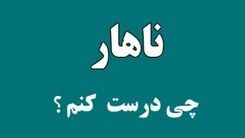 ناهار چی بپزم؟ | 30 مدل غذای خوشمزه و سریع برای ناهار