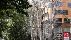پیاده‌روی سفیران اروپایی در خیابان ولیعصر + عکس