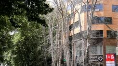 پیاده‌روی سفیران اروپایی در خیابان ولیعصر + عکس
