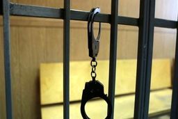 جنایت عروس و داماد در شب عروسی 