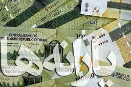 سال آینده با پول یارانه هر نفر یک مرغ می‌شود خرید! 