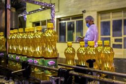 آخرین وضعیت قیمت روغن در مغازه ها| روغن چقدر ارزان شد؟ 