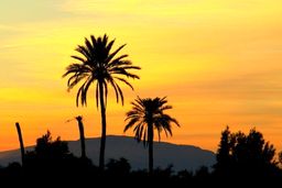 بهترین هتل های آبادان را بشناسید