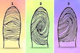 تست شخصیت شناسی | اثر انگشت چه ویژگی‌های رفتاری شما را رو می‌کند؟ | افراد پر انرژی معروف ترین اثرانگشت را دارند!