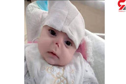 جویده شدن بینی نوزاد رهاشده توسط موش ها+عکس ناراحت کننده