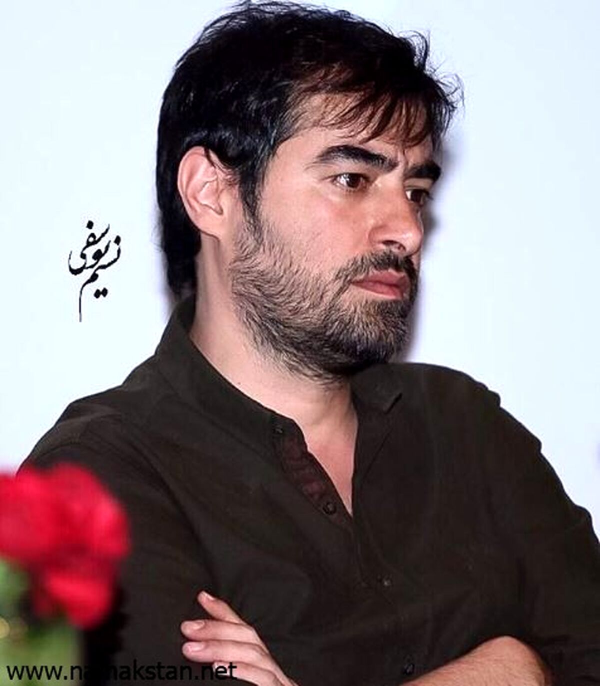 رابطه پنهانی شهاب حسینی با ساره بیات لو رفت | حرکت دور از شأن شهاب حسینی با ساره بیات آبروریزی کرد + عکس