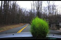 توصیه های مهم پلیس برای مسافران نوروزی 