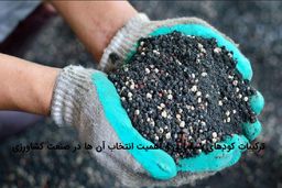 ترکیبات کودهای شیمیایی و اهمیت انتخاب آن ها در صنعت کشاورزی