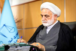 چرا صندلی اژه ای در هواپیما جابجا شد/ رفتار خاص اژه ای در پرواز عمومی +عکس
