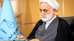 چرا صندلی اژه ای در هواپیما جابجا شد/ رفتار خاص اژه ای در پرواز عمومی +عکس