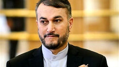 علت سفر قریب‌الوقوع امیرعبداللهیان به عمان 