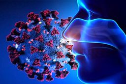 درمان اختلال بویایی ناشی از کرونا