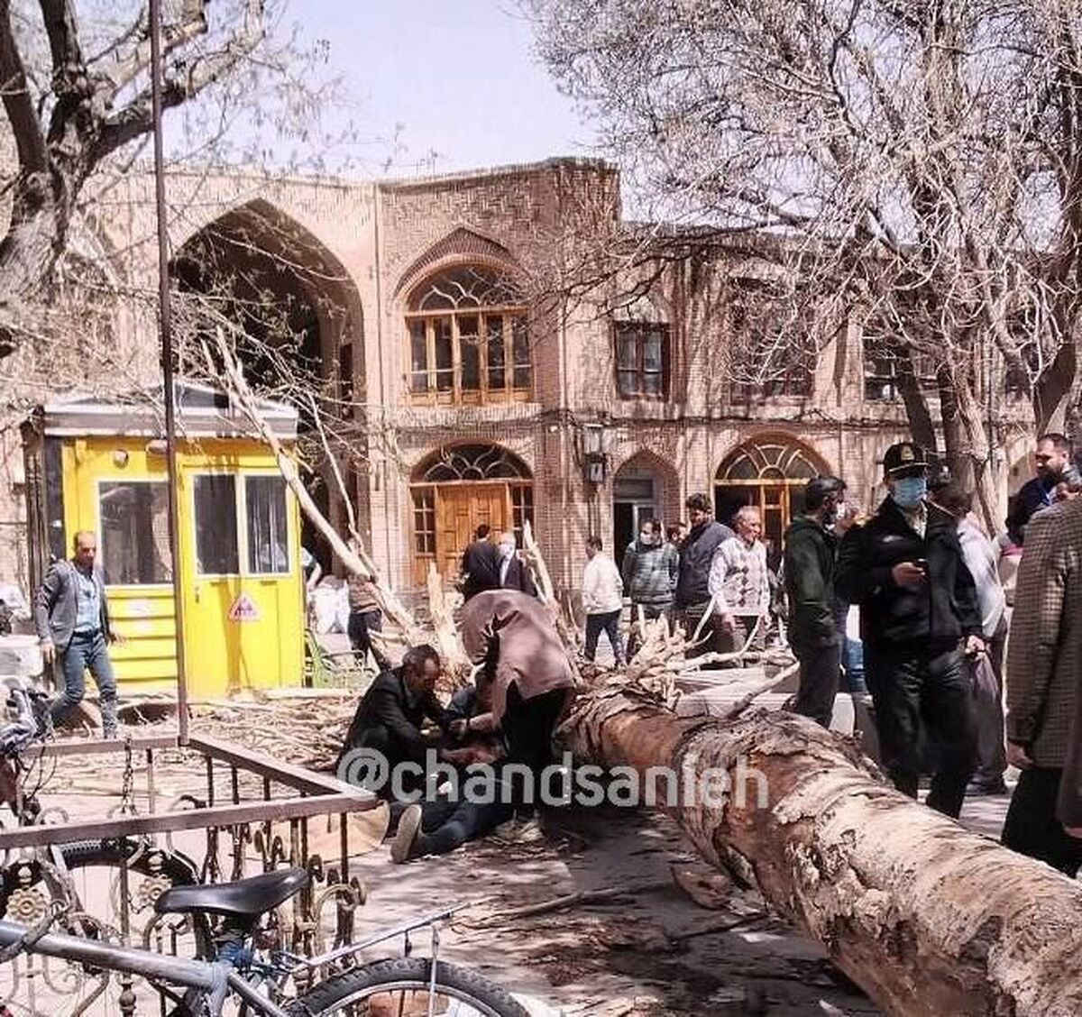 سقوط درخت تنومند در بازار تبریز/ یک نفر مصدوم شد +عکس
